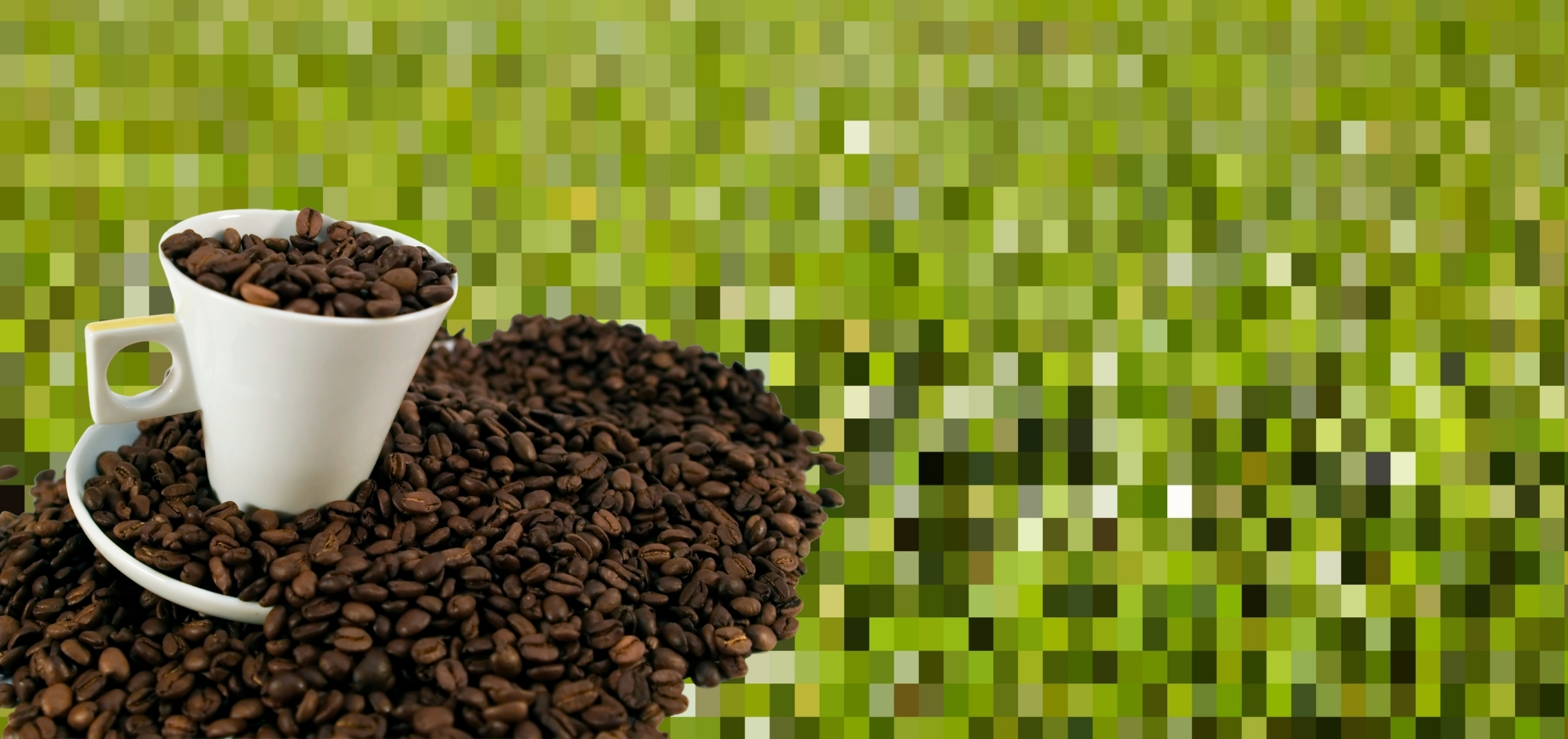 Grüner Kaffee Kapseln: zum Abnehmen?